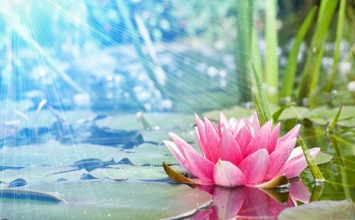 Đả Thiền thất là pháp khắc kỳ thủ chứng